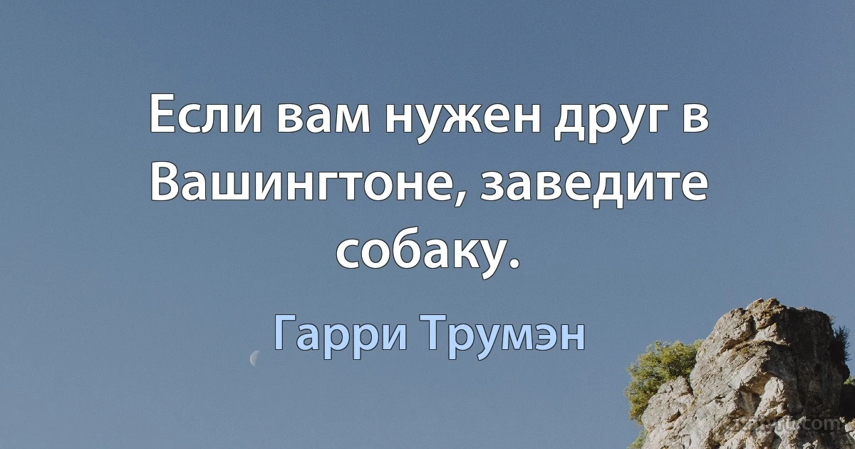 Если вам нужен друг в Вашингтоне, заведите собаку. (Гарри Трумэн)