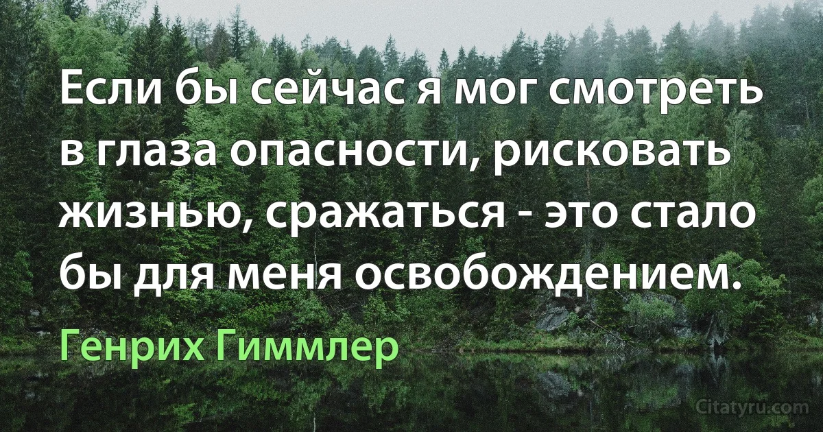 Если бы сейчас я мог смотреть в глаза опасности, рисковать жизнью, сражаться - это стало бы для меня освобождением. (Генрих Гиммлер)