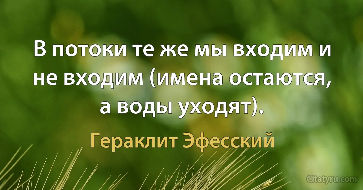 В потоки те же мы входим и не входим (имена остаются, а воды уходят). (Гераклит Эфесский)