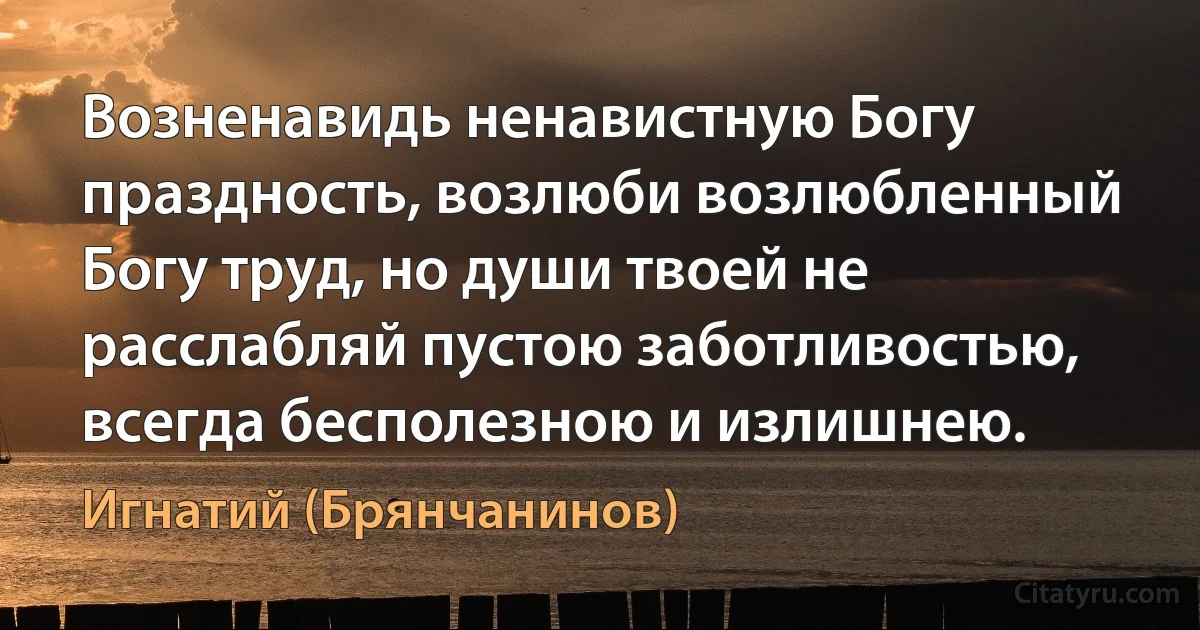 Возненавидь ненавистную Богу праздность, возлюби возлюбленный Богу труд, но души твоей не расслабляй пустою заботливостью, всегда бесполезною и излишнею. (Игнатий (Брянчанинов))