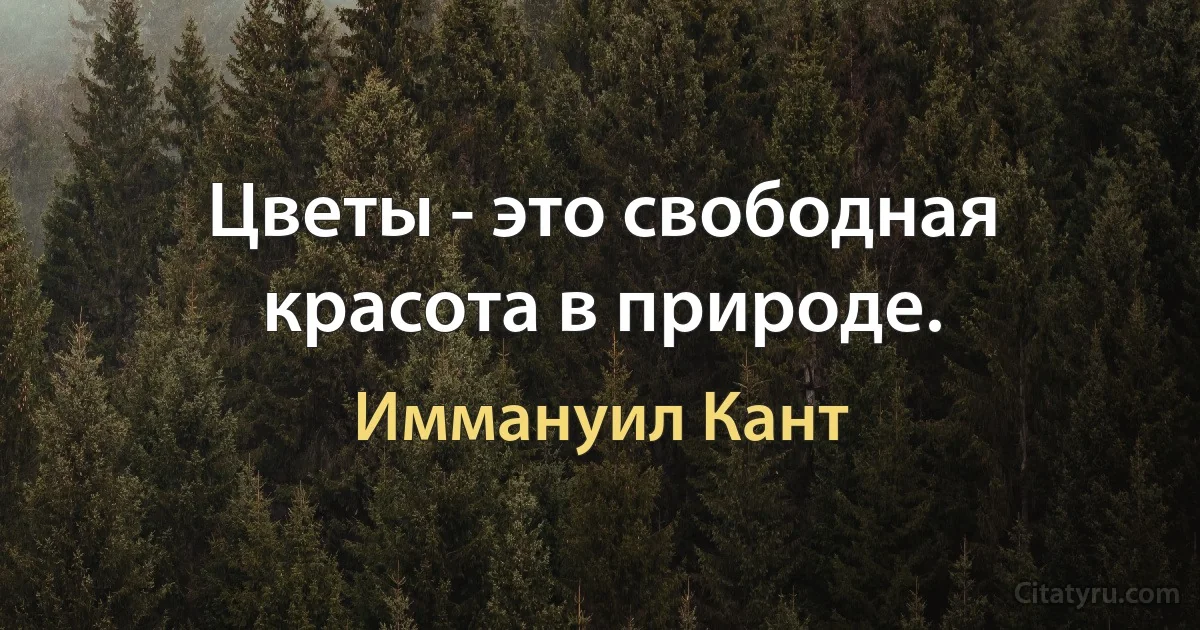 Цветы - это свободная красота в природе. (Иммануил Кант)