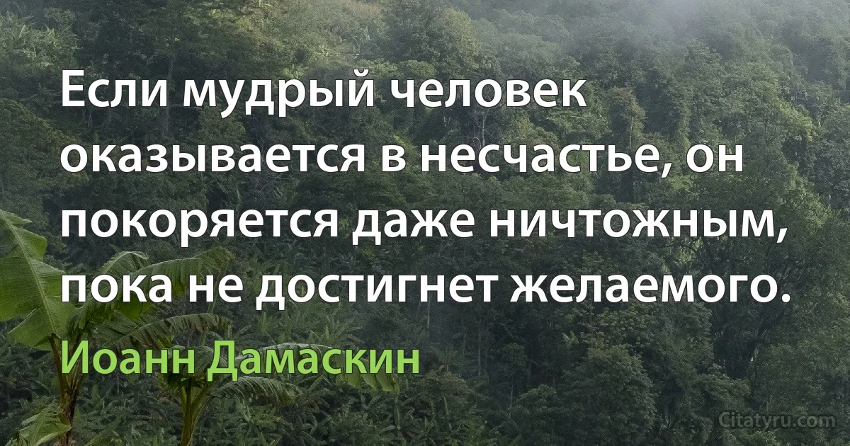 Если мудрый человек оказывается в несчастье, он покоряется даже ничтожным, пока не достигнет желаемого. (Иоанн Дамаскин)