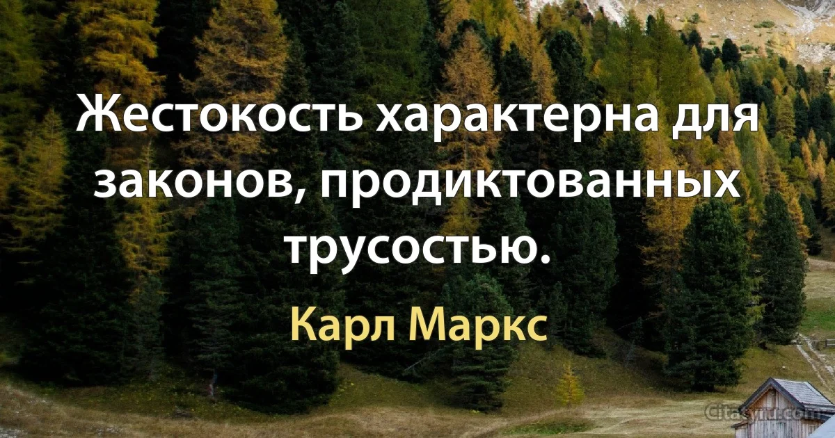 Жестокость характерна для законов, продиктованных
трусостью. (Карл Маркс)