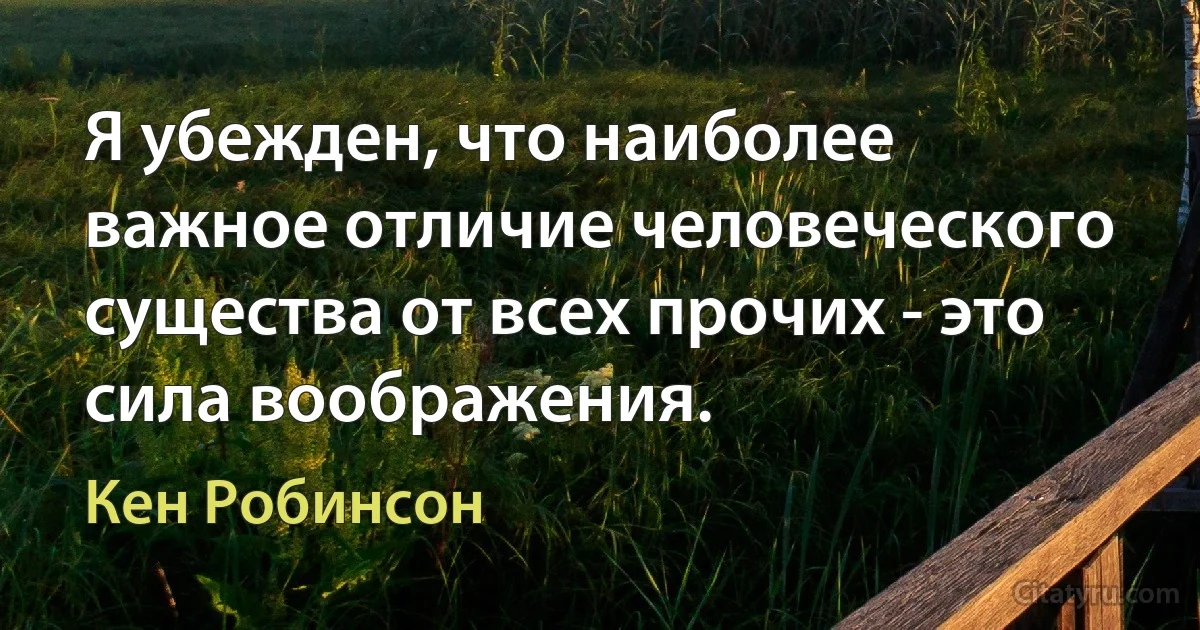 Я убежден, что наиболее важное отличие человеческого существа от всех прочих - это сила воображения. (Кен Робинсон)