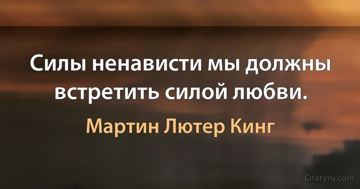 Силы ненависти мы должны встретить силой любви. (Мартин Лютер Кинг)