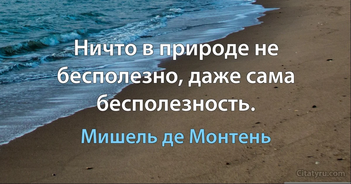 Ничто в природе не бесполезно, даже сама бесполезность. (Мишель де Монтень)