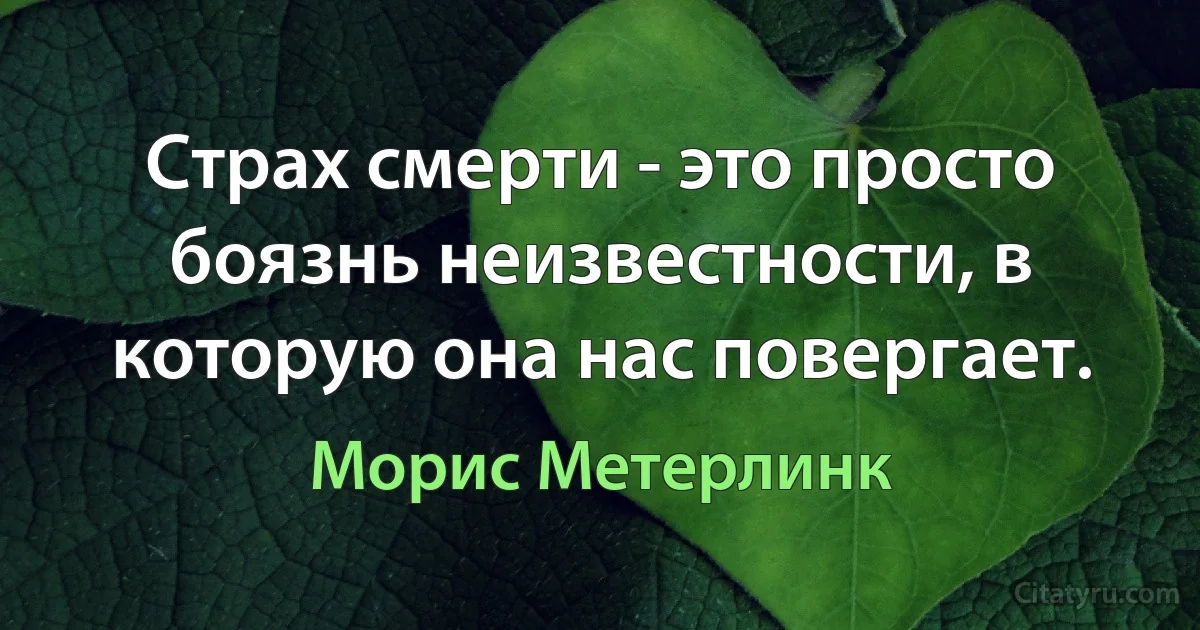 Страх смерти - это просто боязнь неизвестности, в которую она нас повергает. (Морис Метерлинк)