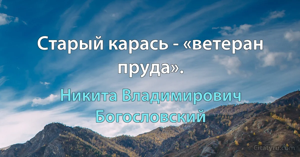 Старый карась - «ветеран пруда». (Никита Владимирович Богословский)