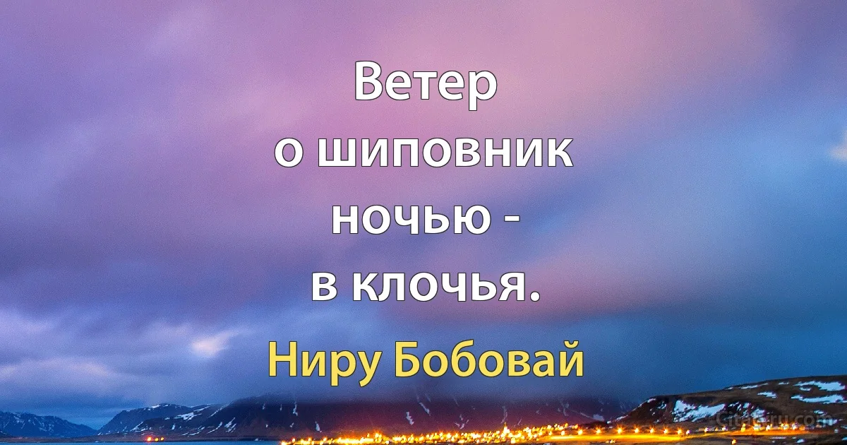 Ветер
о шиповник
ночью -
в клочья. (Ниру Бобовай)