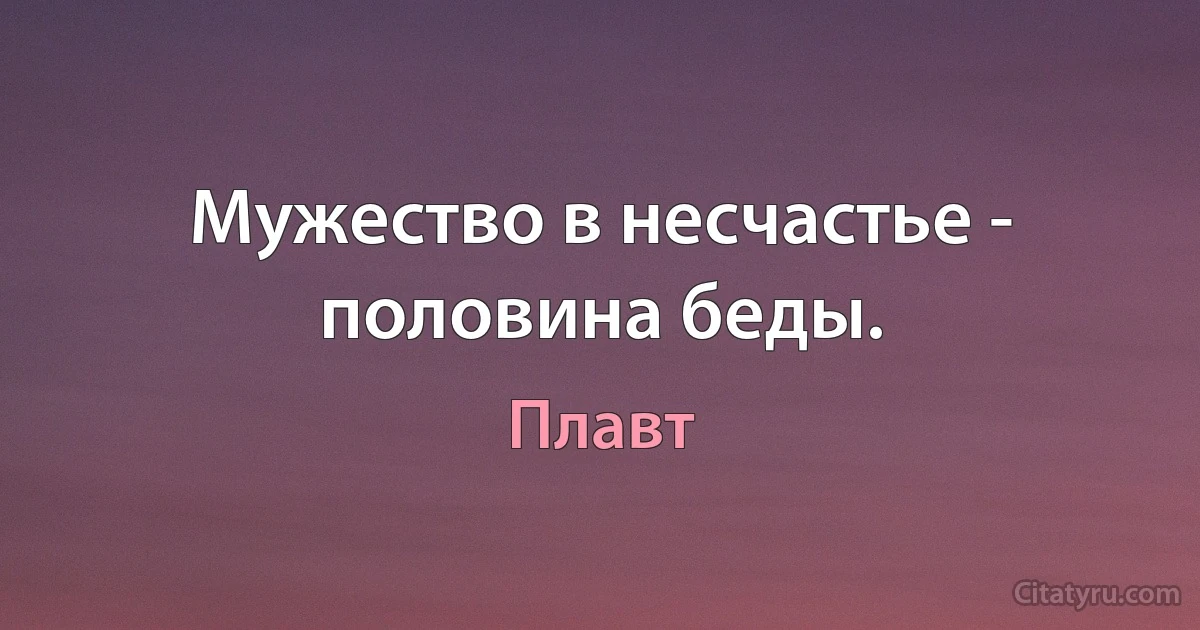 Мужество в несчастье - половина беды. (Плавт)