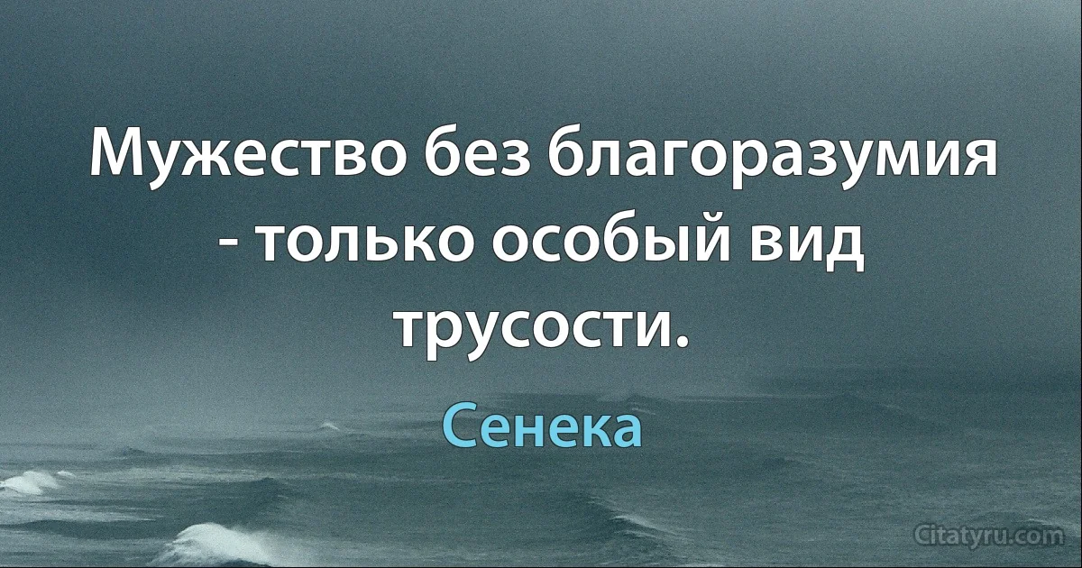 Мужество без благоразумия - только особый вид трусости. (Сенека)