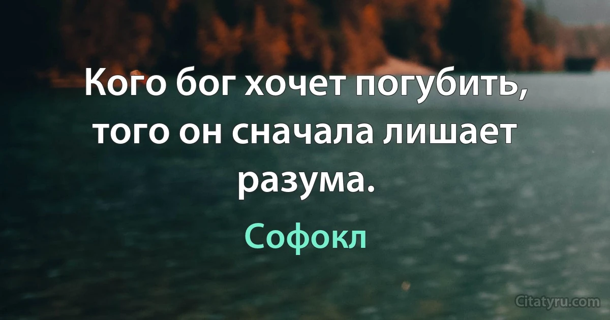 Кого бог хочет погубить, того он сначала лишает разума. (Софокл)