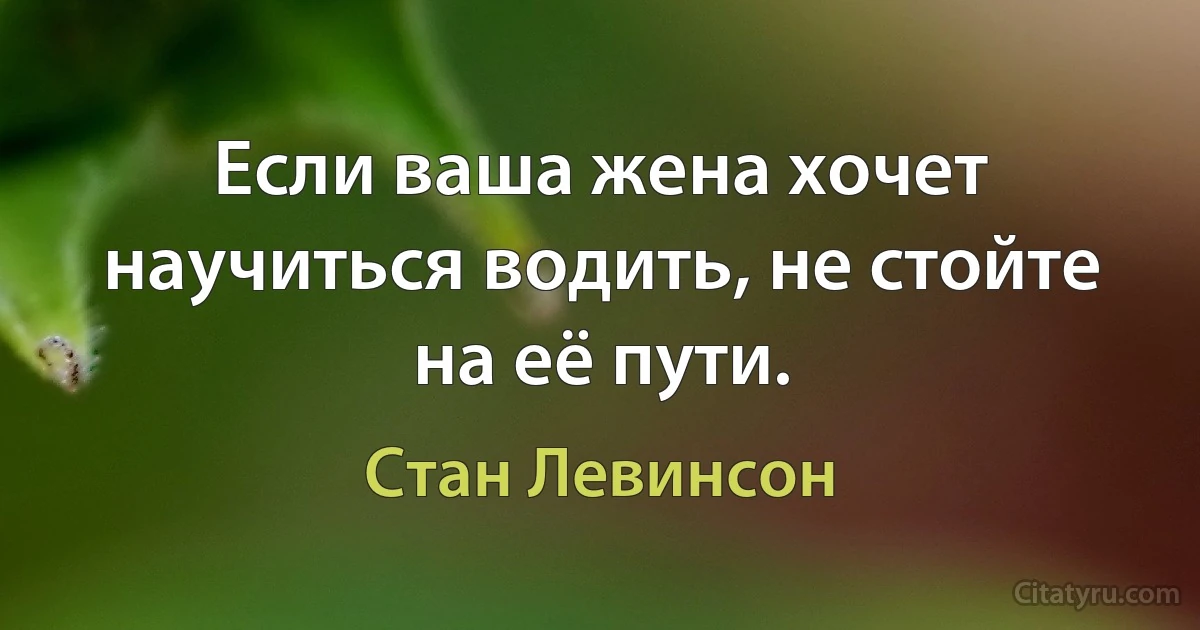 Если ваша жена хочет научиться водить, не стойте на её пути. (Стан Левинсон)