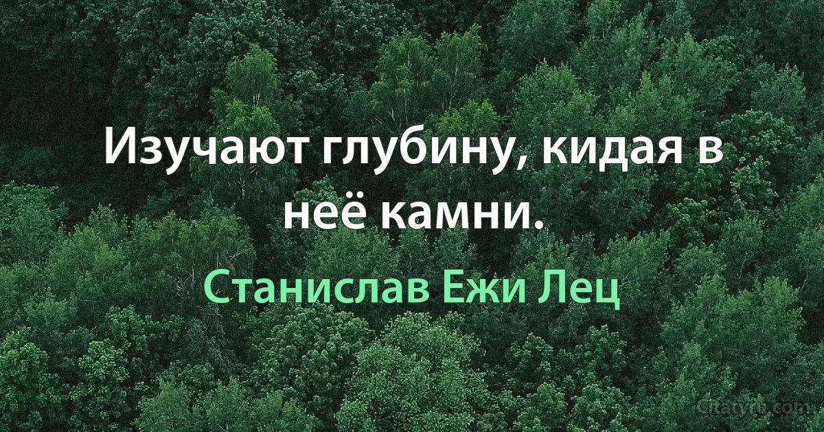 Изучают глубину, кидая в неё камни. (Станислав Ежи Лец)