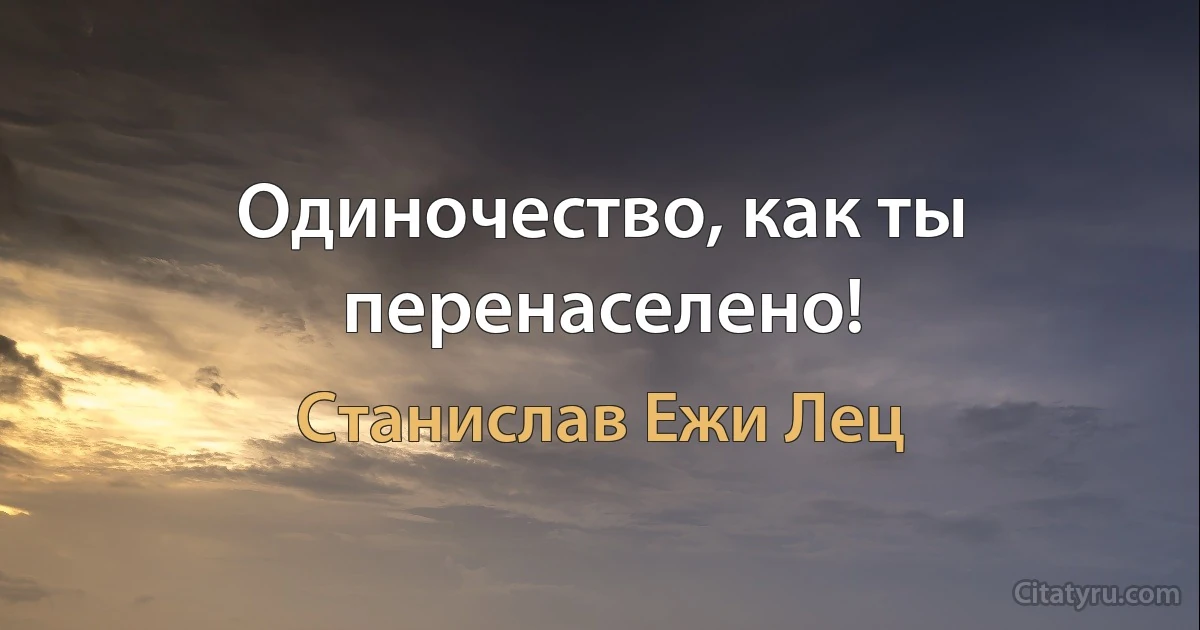 Одиночество, как ты перенаселено! (Станислав Ежи Лец)