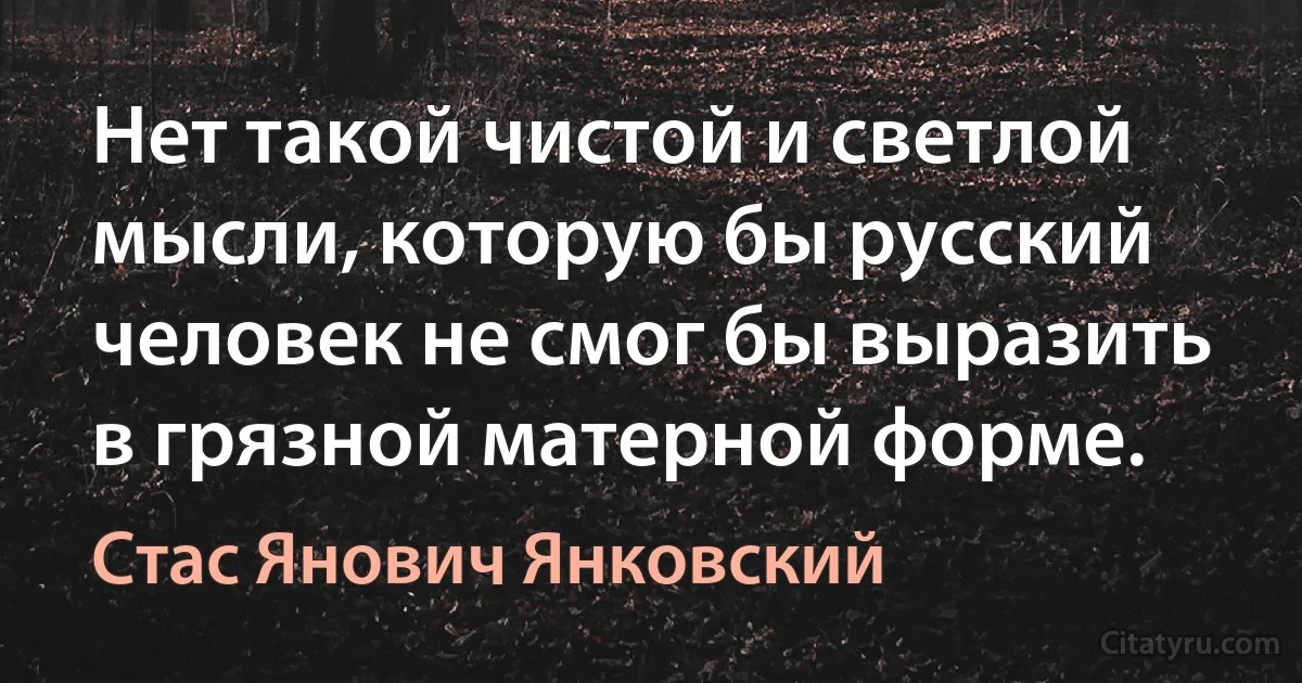 Нет такой чистой и светлой мысли, которую бы русский человек не смог бы выразить в грязной матерной форме. (Стас Янович Янковский)