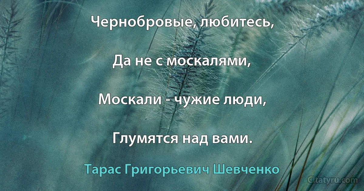 Чернобровые, любитесь,

Да не с москалями,

Москали - чужие люди,

Глумятся над вами. (Тарас Григорьевич Шевченко)