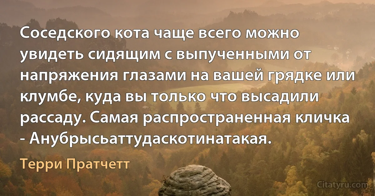 Соседского кота чаще всего можно увидеть сидящим с выпученными от напряжения глазами на вашей грядке или клумбе, куда вы только что высадили рассаду. Самая распространенная кличка - Анубрысьаттудаскотинатакая. (Терри Пратчетт)