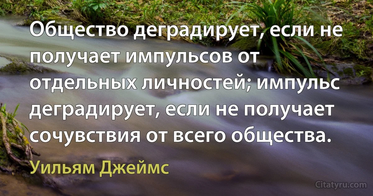 Общество деградирует, если не получает импульсов от отдельных личностей; импульс деградирует, если не получает сочувствия от всего общества. (Уильям Джеймс)