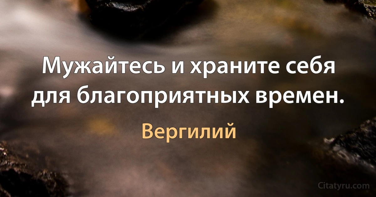 Мужайтесь и храните себя для благоприятных времен. (Вергилий)