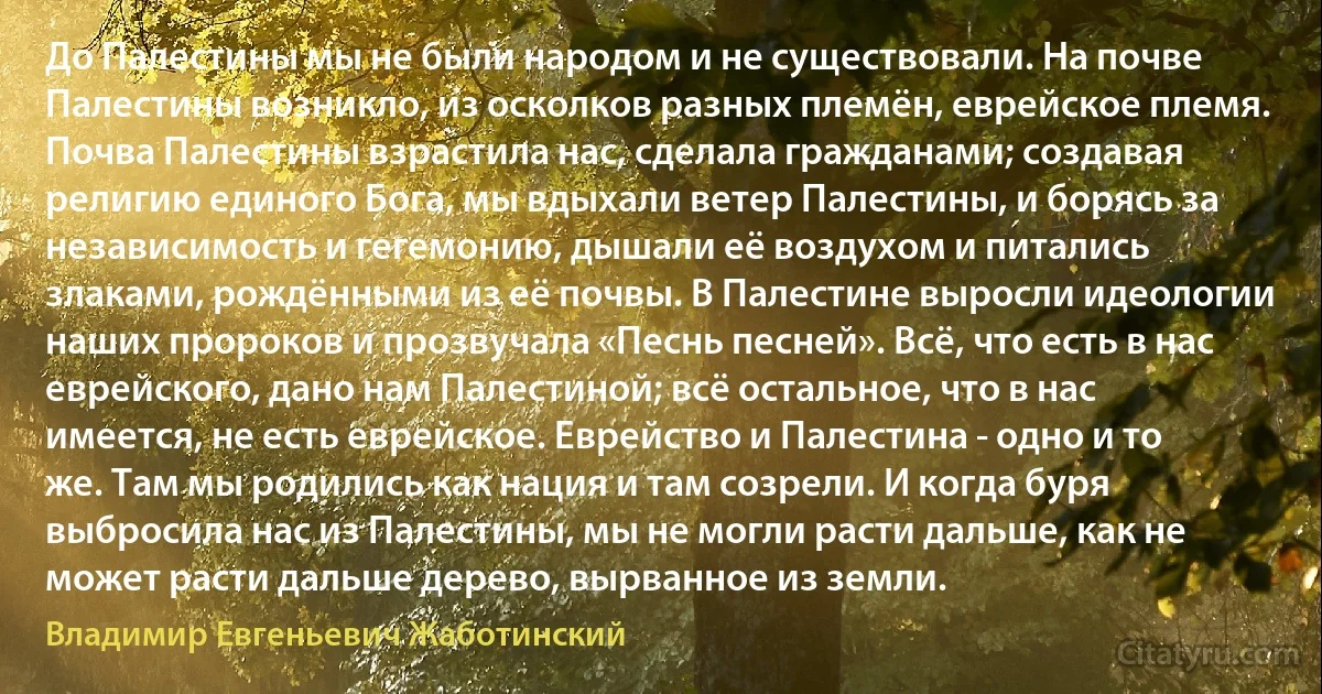 До Палестины мы не были народом и не существовали. На почве Палестины возникло, из осколков разных племён, еврейское племя. Почва Палестины взрастила нас, сделала гражданами; создавая религию единого Бога, мы вдыхали ветер Палестины, и борясь за независимость и гегемонию, дышали её воздухом и питались злаками, рождёнными из её почвы. В Палестине выросли идеологии наших пророков и прозвучала «Песнь песней». Всё, что есть в нас еврейского, дано нам Палестиной; всё остальное, что в нас имеется, не есть еврейское. Еврейство и Палестина - одно и то же. Там мы родились как нация и там созрели. И когда буря выбросила нас из Палестины, мы не могли расти дальше, как не может расти дальше дерево, вырванное из земли. (Владимир Евгеньевич Жаботинский)