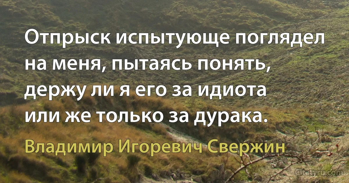 Отпрыск испытующе поглядел на меня, пытаясь понять, держу ли я его за идиота или же только за дурака. (Владимир Игоревич Свержин)