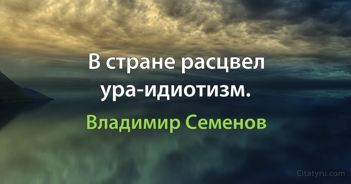 В стране расцвел ура-идиотизм. (Владимир Семенов)