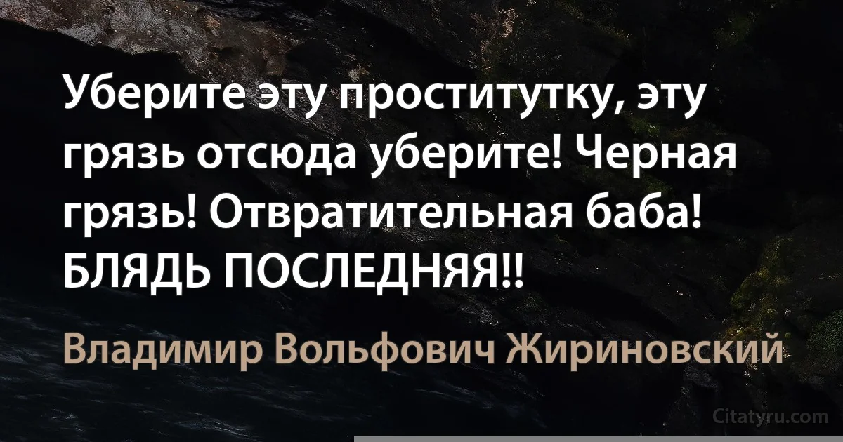 Уберите эту проститутку, эту грязь отсюда уберите! Черная грязь! Отвратительная баба! БЛЯДЬ ПОСЛЕДНЯЯ!! (Владимир Вольфович Жириновский)