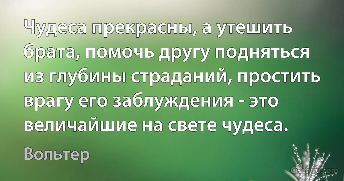 Чудеса прекрасны, а утешить брата, помочь другу подняться из глубины страданий, простить врагу его заблуждения - это величайшие на свете чудеса. (Вольтер)