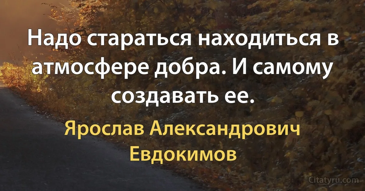 Надо стараться находиться в атмосфере добра. И самому создавать ее. (Ярослав Александрович Евдокимов)