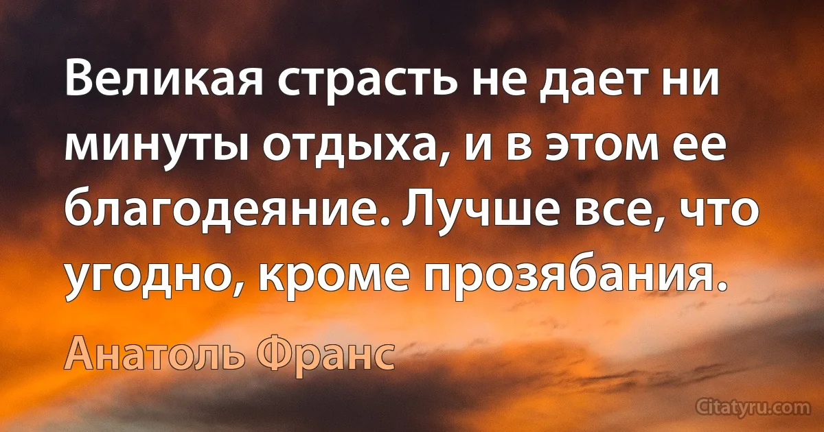 Великая страсть не дает ни минуты отдыха, и в этом ее благодеяние. Лучше все, что угодно, кроме прозябания. (Анатоль Франс)