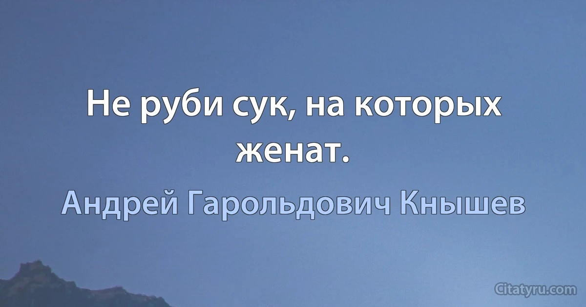 Не руби сук, на которых женат. (Андрей Гарольдович Кнышев)