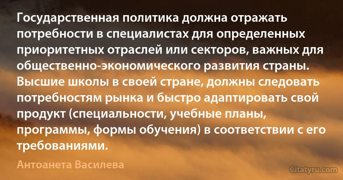 Государственная политика должна отражать потребности в специалистах для определенных приоритетных отраслей или секторов, важных для общественно-экономического развития страны. Высшие школы в своей стране, должны следовать потребностям рынка и быстро адаптировать свой продукт (специальности, учебные планы, программы, формы обучения) в соответствии с его требованиями. (Антоанета Василева)