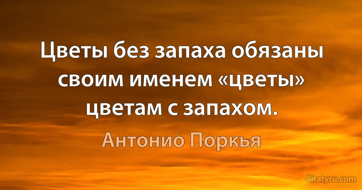 Цветы без запаха обязаны своим именем «цветы» цветам с запахом. (Антонио Поркья)