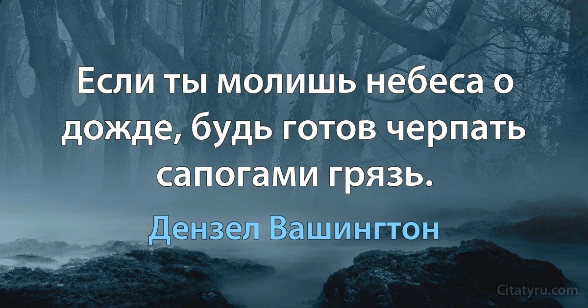 Если ты молишь небеса о дожде, будь готов черпать сапогами грязь. (Дензел Вашингтон)