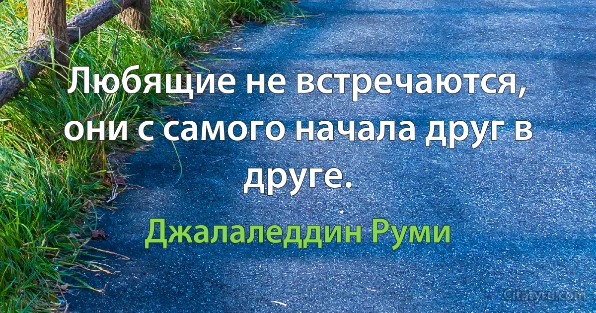 Любящие не встречаются, они с самого начала друг в друге. (Джалаледдин Руми)