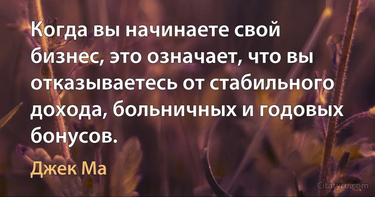 Когда вы начинаете свой бизнес, это означает, что вы отказываетесь от стабильного дохода, больничных и годовых бонусов. (Джек Ма)