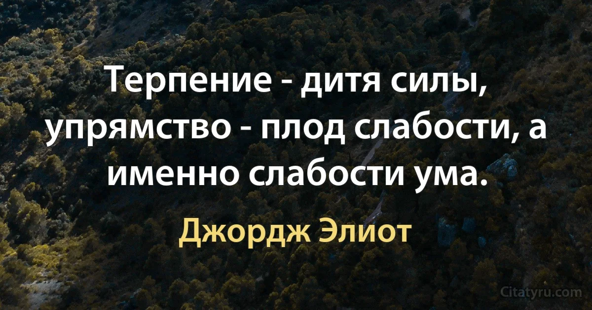 Терпение - дитя силы, упрямство - плод слабости, а именно слабости ума. (Джордж Элиот)