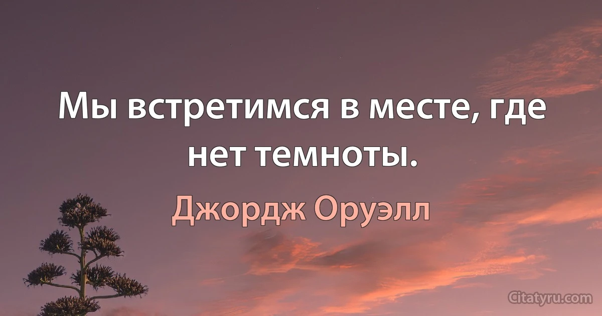 Мы встретимся в месте, где нет темноты. (Джордж Оруэлл)