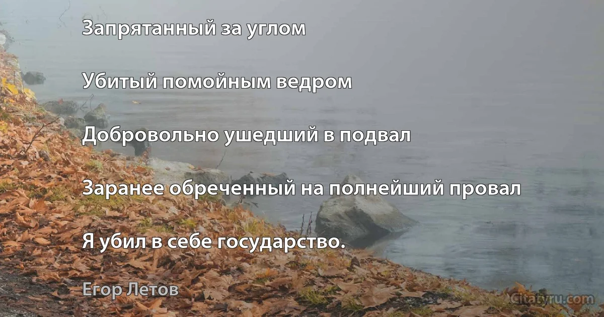 Запрятанный за углом

Убитый помойным ведром

Добровольно ушедший в подвал

Заранее обреченный на полнейший провал

Я убил в себе государство. (Егор Летов)