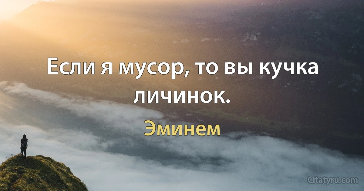 Если я мусор, то вы кучка личинок. (Эминем)