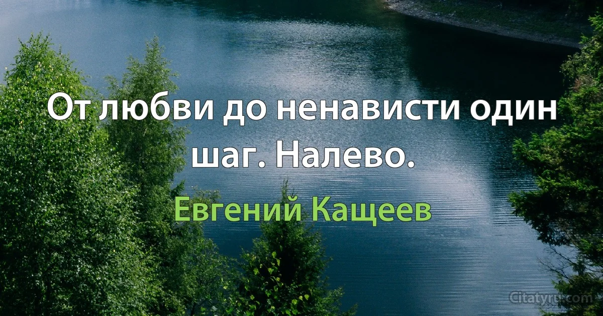 От любви до ненависти один шаг. Налево. (Евгений Кащеев)