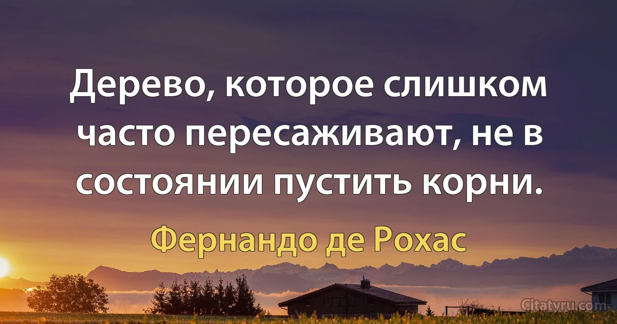 Дерево, которое слишком часто пересаживают, не в состоянии пустить корни. (Фернандо де Рохас)