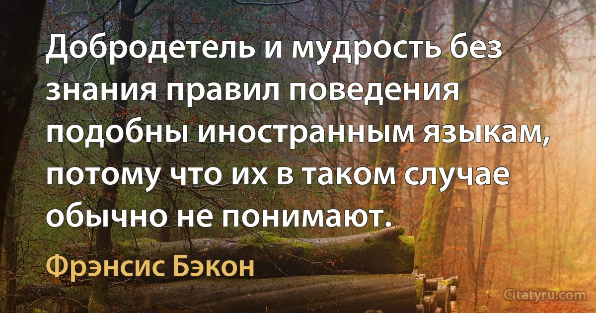 Добродетель и мудрость без знания правил поведения подобны иностранным языкам, потому что их в таком случае обычно не понимают. (Фрэнсис Бэкон)