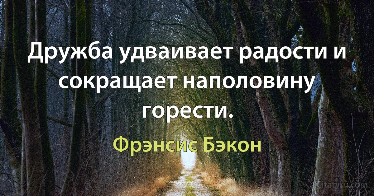 Дружба удваивает радости и сокращает наполовину горести. (Фрэнсис Бэкон)