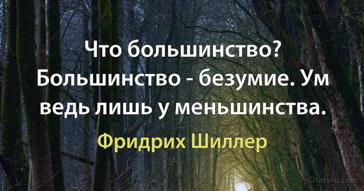 Что большинство? Большинство - безумие. Ум ведь лишь у меньшинства. (Фридрих Шиллер)