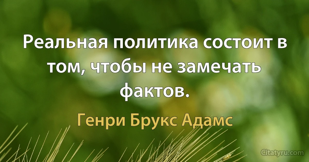 Реальная политика состоит в том, чтобы не замечать фактов. (Генри Брукс Адамс)