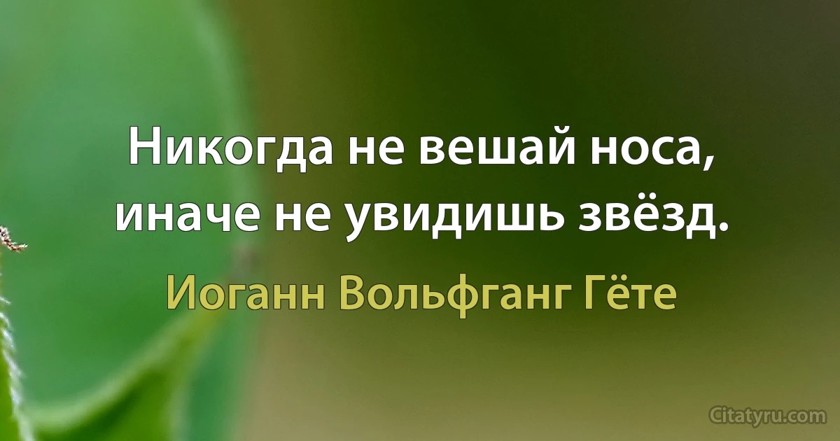 Никогда не вешай носа, иначе не увидишь звёзд. (Иоганн Вольфганг Гёте)