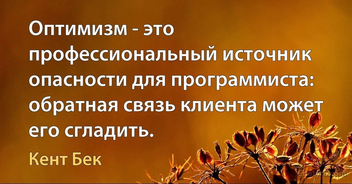 Оптимизм - это профессиональный источник опасности для программиста: обратная связь клиента может его сгладить. (Кент Бек)