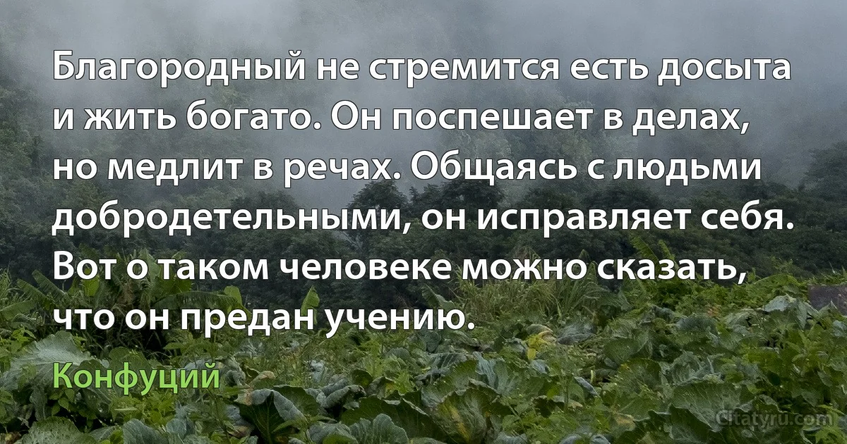 Благородный не стремится есть досыта и жить богато. Он поспешает в делах, но медлит в речах. Общаясь с людьми добродетельными, он исправляет себя. Вот о таком человеке можно сказать, что он предан учению. (Конфуций)